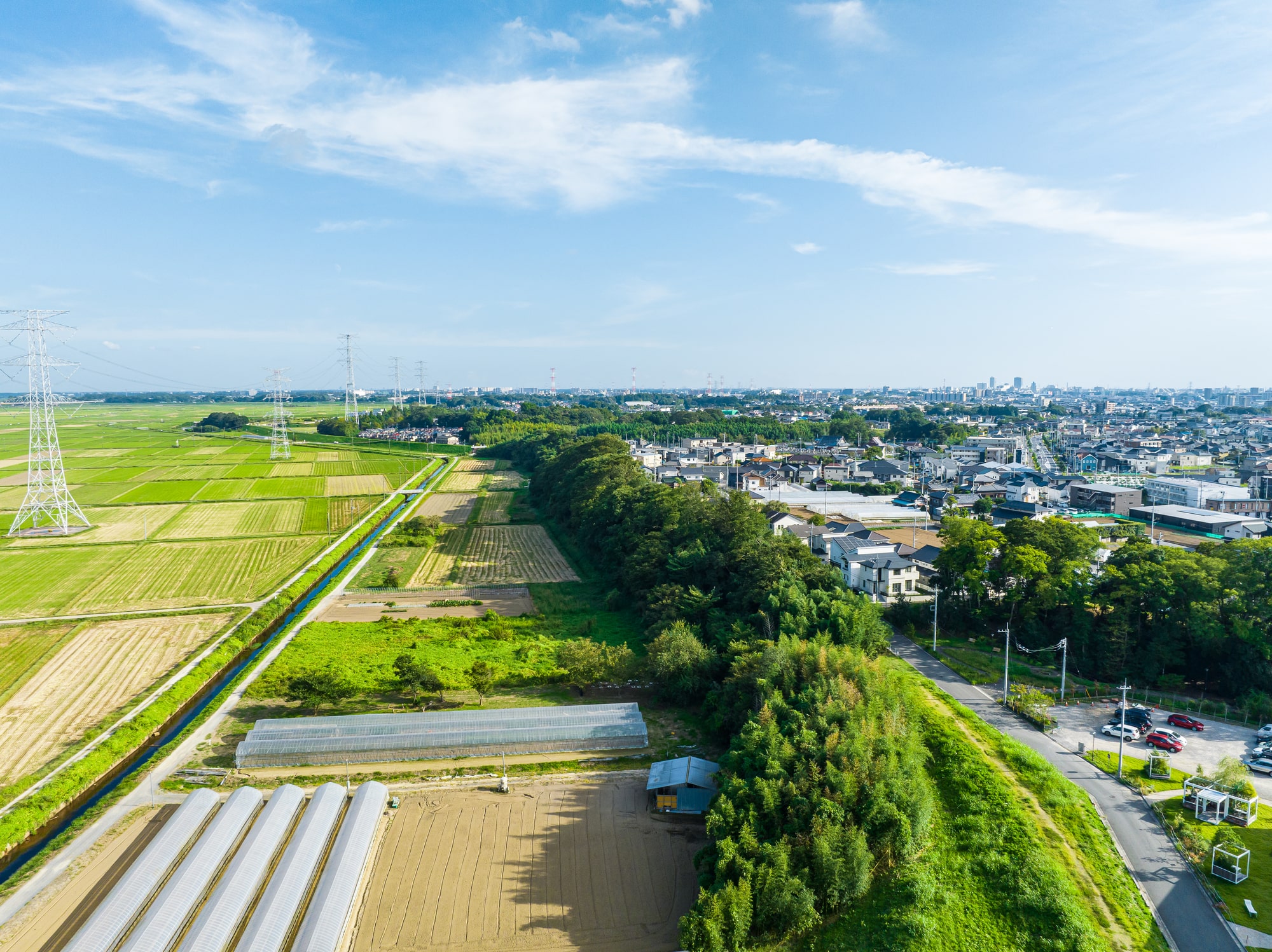 農地を宅地にして売る5ステップと知っておくべき注意点を解説