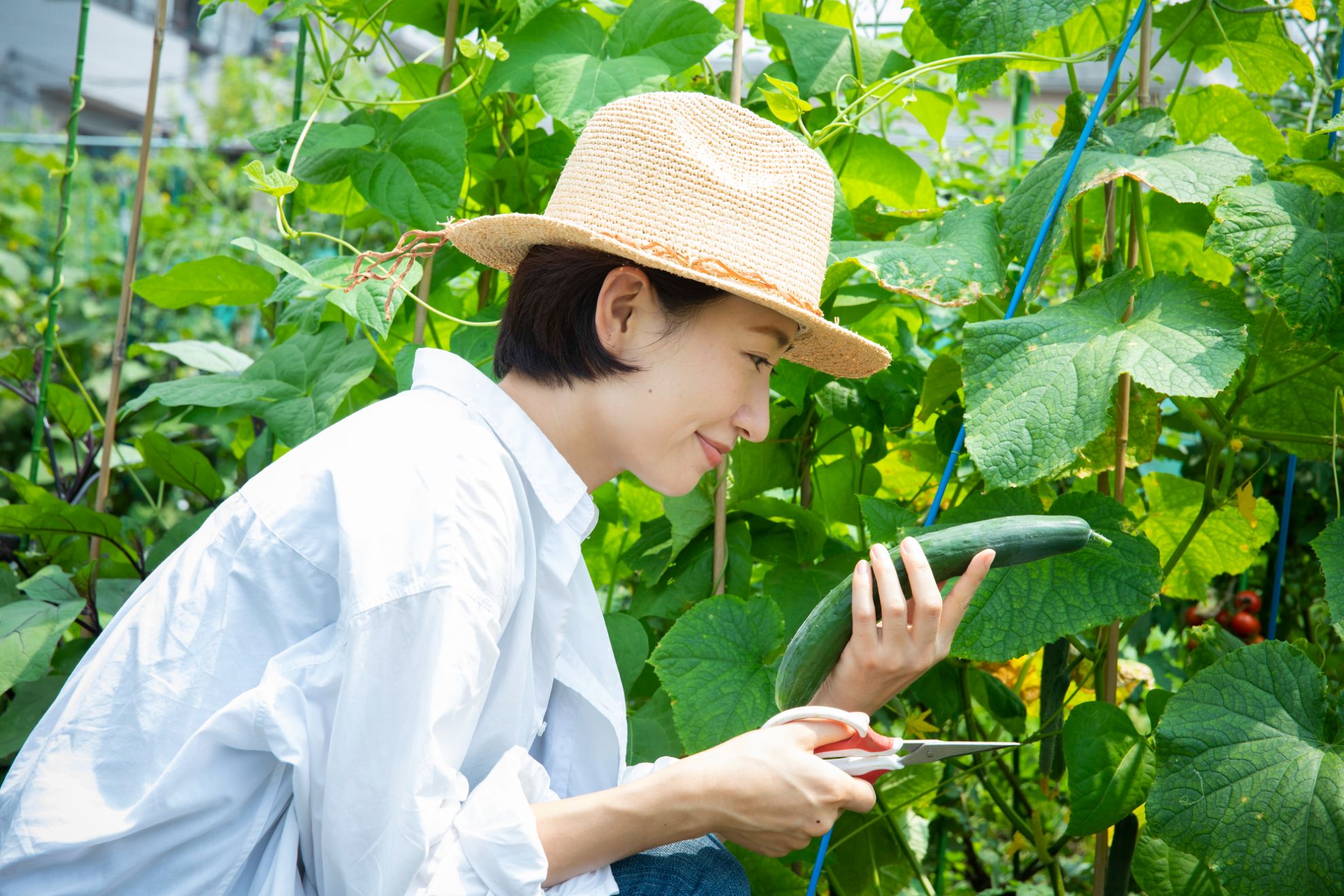 家庭菜園用の土地を購入するには？チェックポイントや注意点などを解説